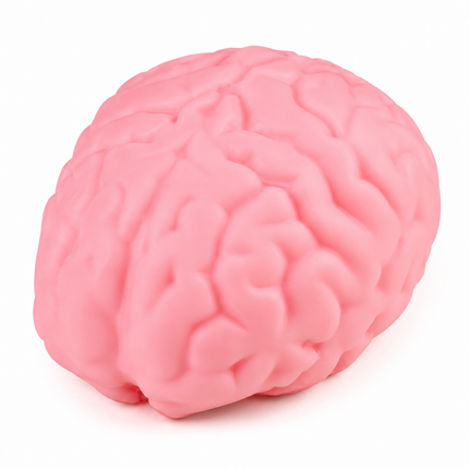 Jumbo Squishy Brain - 6PK (NO DISPLAY)