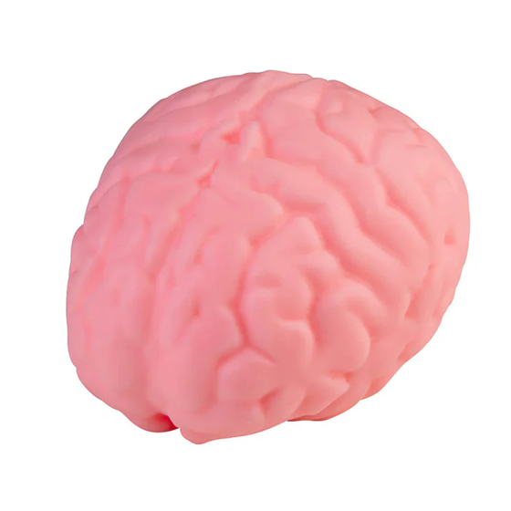 Jumbo Squishy Brain - One Unit
